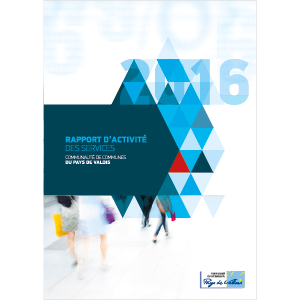 Rapport d'activité 2016