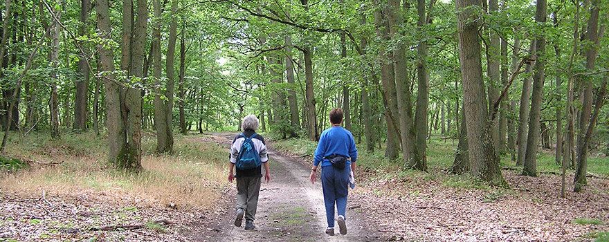 randonee_le_parcours_nature_a_levignen_photo randonee_le_parcours_nature_a_levignen_photo