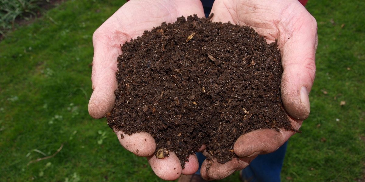 Que faire des déchets verts ? Compost, paillage, évacuation